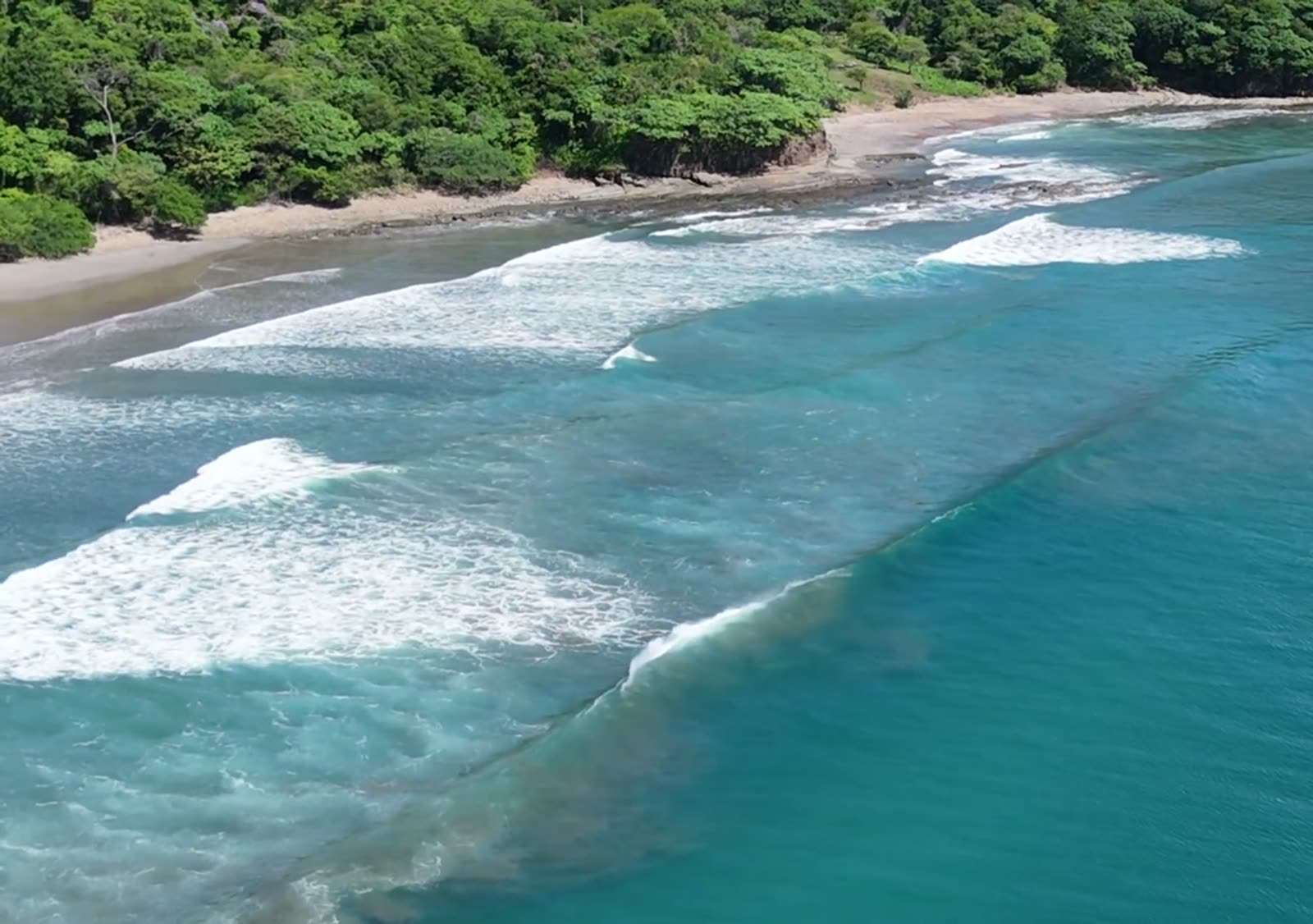 Playa Yankee from a drone: sets peeling across the sand toward the beach, jungle above the shore